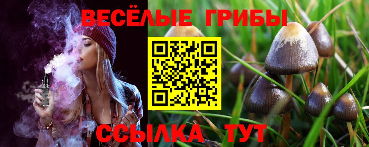 Псилоцибиновые грибы ЛСД  Галлюциногенные грибы мухоморы  Вход с VPN  Печора 